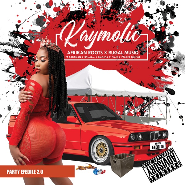 Party eFedile 2.0 (feat. DJ DADAMAN, K9ne T9ne, Emoji SA, Flair & Pouler DMusic) - Single