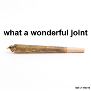 What a Wonderful Joint - EP