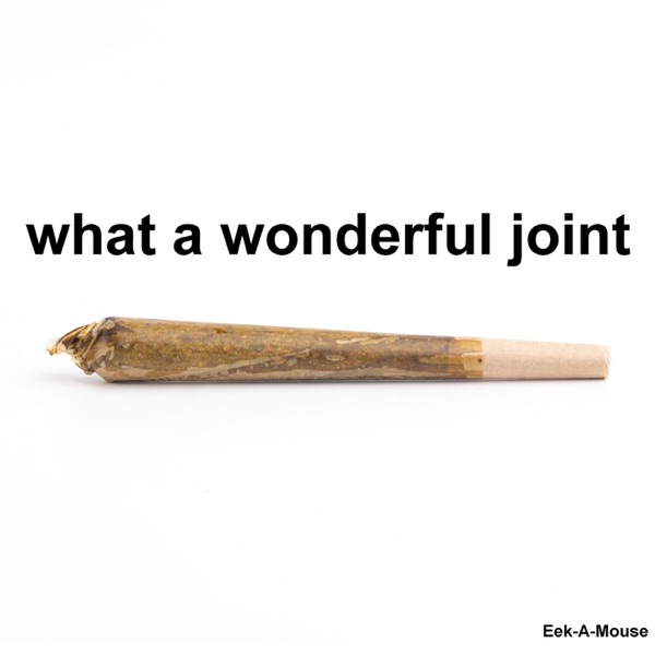 What a Wonderful Joint - EP