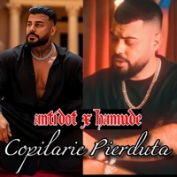 Copilarie Pierduta (feat. Hamude) - Single - Antidot