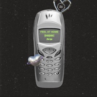 FEEL AT HOME - Single - Shabani