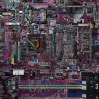 FREEZE / NOSEBLEEDS - Single - 816ant