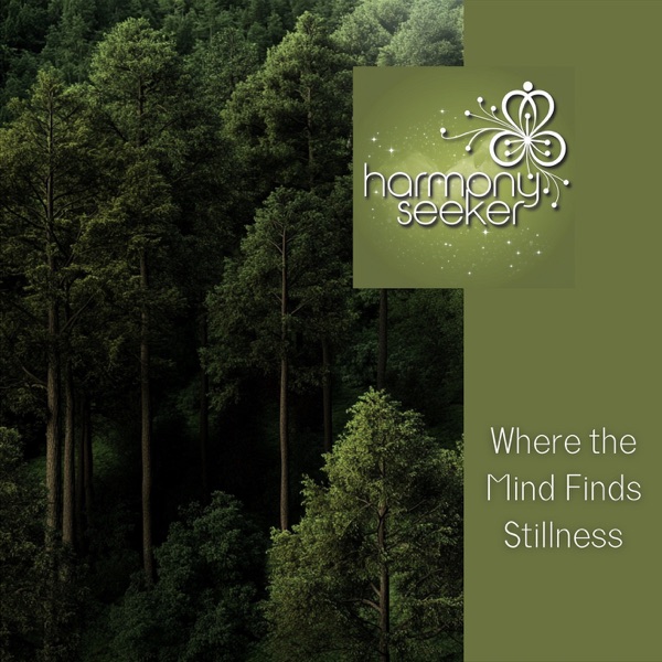 Where the Mind Finds Stillness