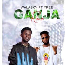 Ganja (feat. Ypee) [Remix] WALASKY