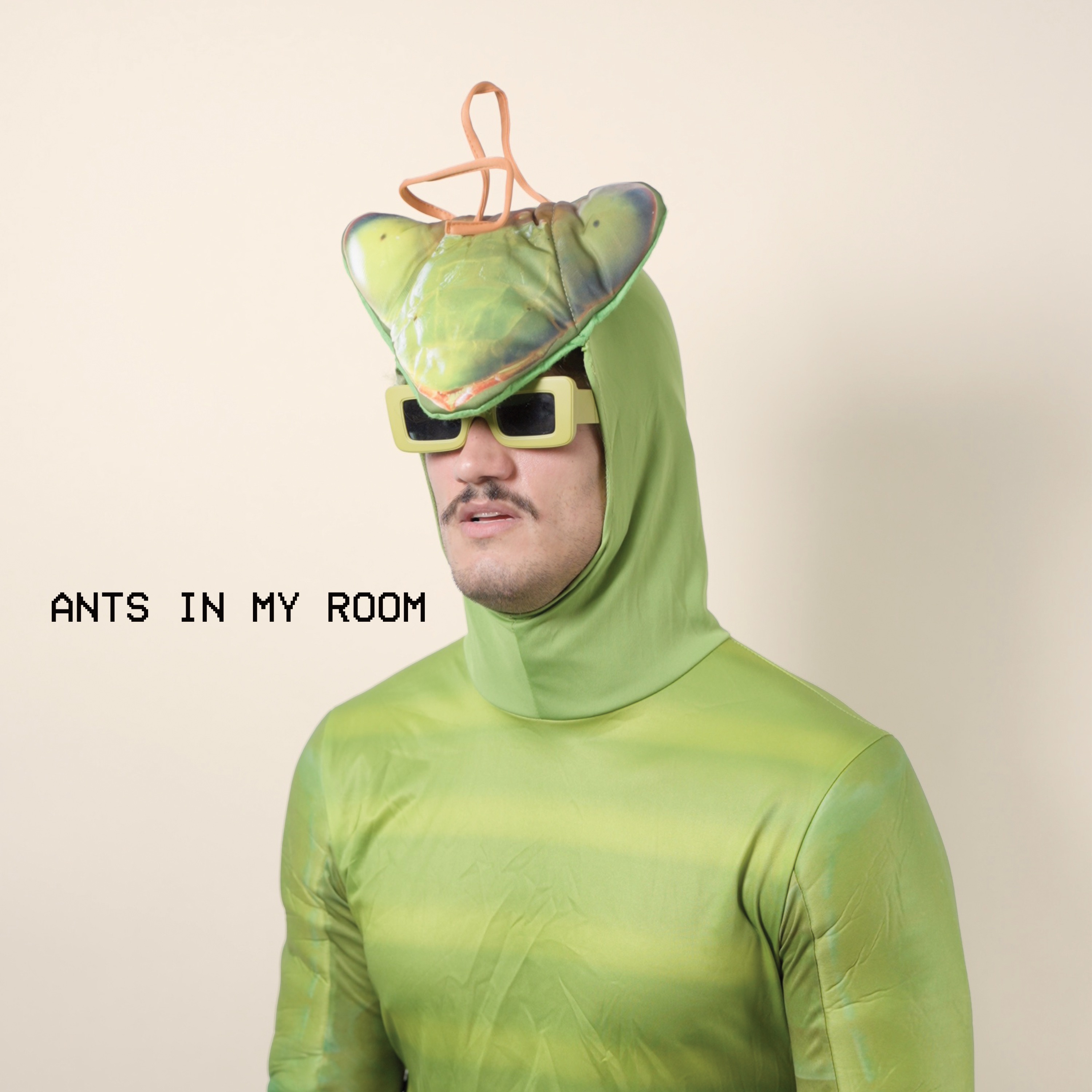 Ants In My Room - Single