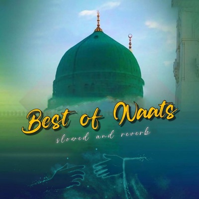 Umar Zaad - Wo Mera Nabi Hai (Slowed)