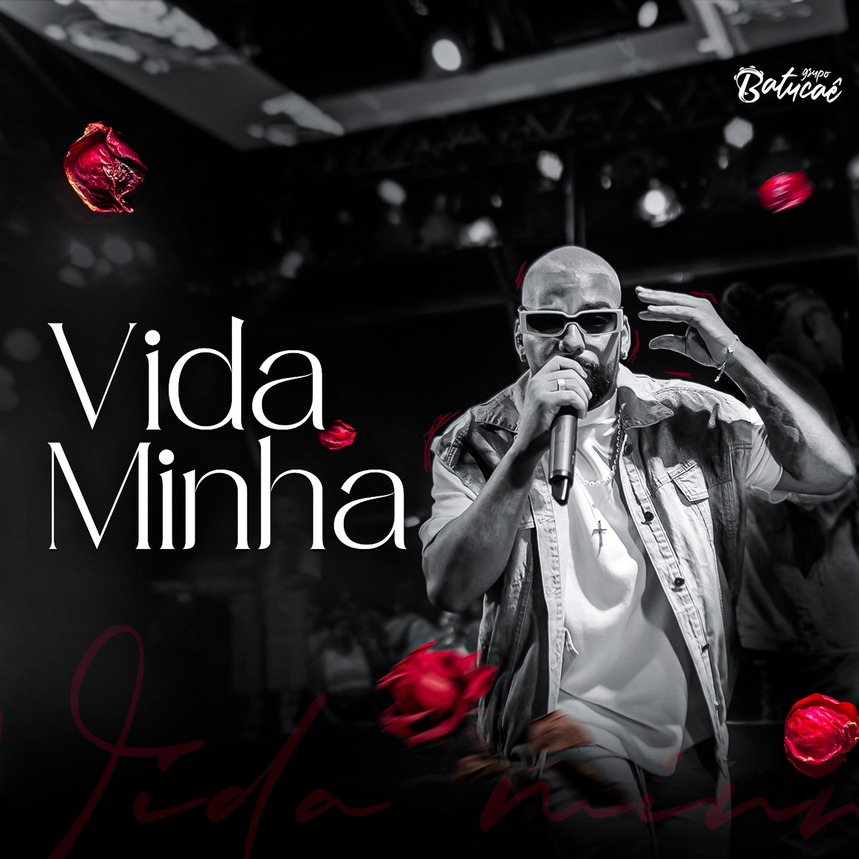 Vida Minha - Single