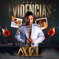 Evidencias