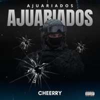 AJUARIADOS - Single - Cheerry