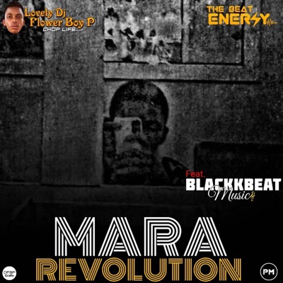 Mara Revolution (feat. Lovely DJ Flower Boy P) - Single