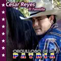 La Ultima Cocacola