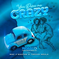 You Drive Me Crazy (feat. Mac J Macfam & Topcha Noula) - Single - Romeo ThaGreatwhite