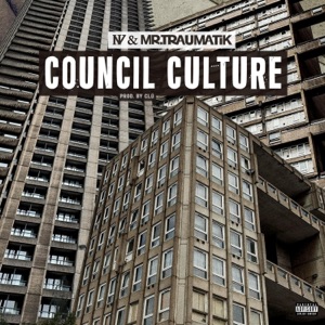 Council culture