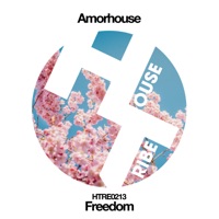 Freedom - Single - Amorhouse