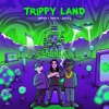Trippy Land cover art
