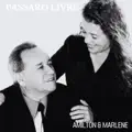 Passaro Livre