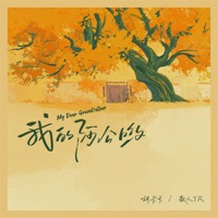 我的阿公哟 - Single - 胡卡卡 & 散人TR