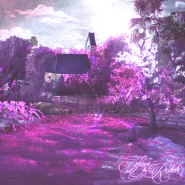 Max Box (Chopped & Screwed) Chiefdvb