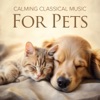 Laurent Tanguy A Deep Glance Calming Classical Music for Pets