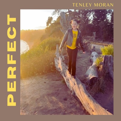 Perfect (feat. Dawn Elder) - Single
