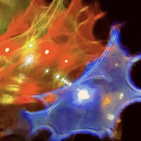 Lickety Split - Single - TRIPPSMITH