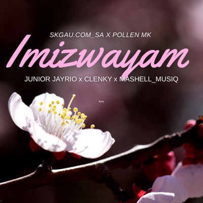 Imizwayam (feat. PollenM.K, Junior Jayrio, Clenky De Wavy & Mashell Musiq) - Single