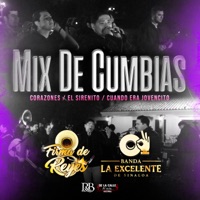 Mix De Cumbias: Corazones / El Sirenito / Cuando Era Jovencito - Single - Firma De Reyes & Banda la Excelente de Sinaloa
