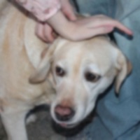 Forgetful (feat. FearDorian) - Single - elliebell