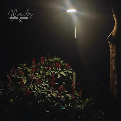 Vacilos (feat. Maq. & Shavo) - Single