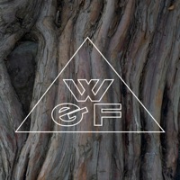 Otoño - Single - Wow & Flutter