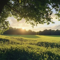 spring demo - Single - Money Flip & seen twice