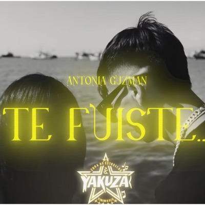 TE FUISTE - Single