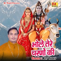 Bhole Tere Charno Ki - Single - Ajit Yadav