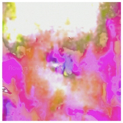 Flowers in December - EP