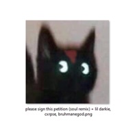 please sign this petition (feat. Brahman, BRUHMANEGOD & Cxrpse) [soul remix] - Single - AZUR3D