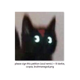 please sign this petition (feat. Brahman, BRUHMANEGOD & Cxrpse) [soul remix] AZUR3D