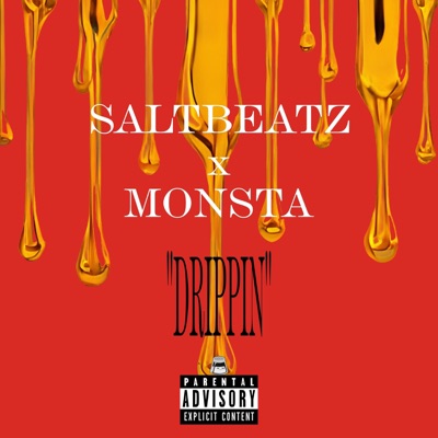 DRIPPIN (feat. Monsta of MLP) - Single