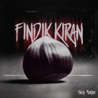 Fındık Kıran - Single - Salih Mardin