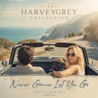 Never Gonna Let You Go — The HarveyGrey Collective