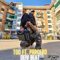 Never Back Down (feat. TonyTod & Parcero) - Single - Deiv Beat