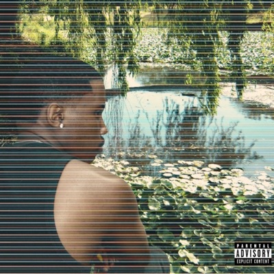 VICES (feat. tylerwrldwide) - Single