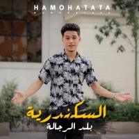مهرجان السكندرية بلد الرجالة (feat. حمو حتاتا) - Single - MTL Music - ام تى ال ميوزك