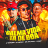 Calma Vida Ta de Boa - MC Ricardinho, MC Fantaxma & Biel Acelerado