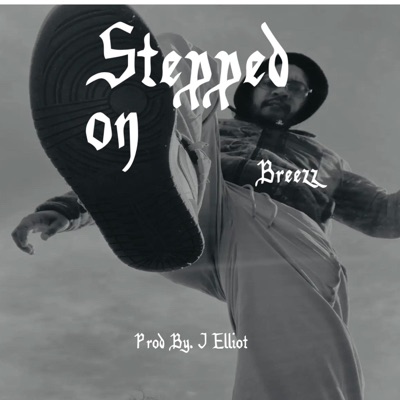 Stepped On - Single