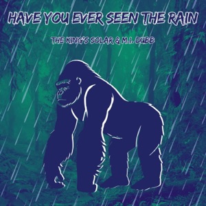 Have You Ever Seen The Rain