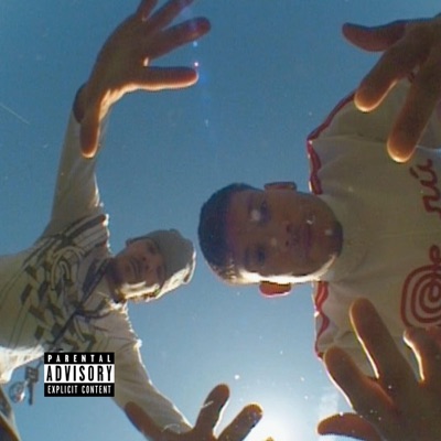 Da rein da raus - Single