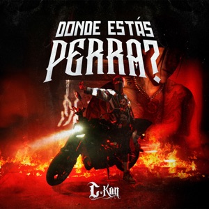 Donde estás perra?