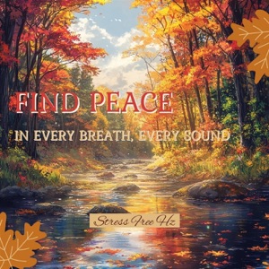 Find Peace in Every Breath, Every Sound