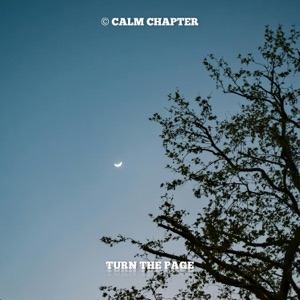 Turn The Page