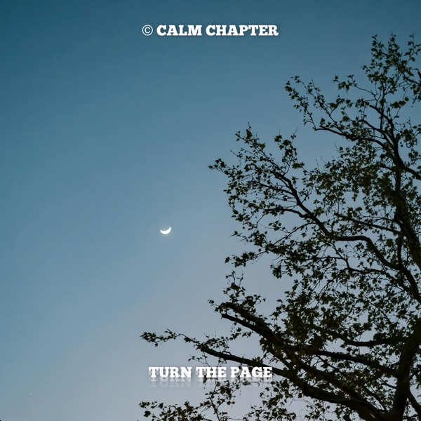 Turn The Page